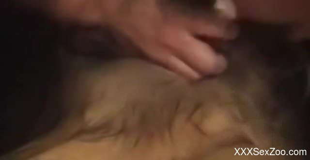 Horny woman loves the taste of dog cock in her mouth