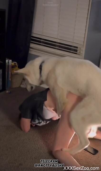 Fine slut shares homemade zoo kinks in a superb mix of positions