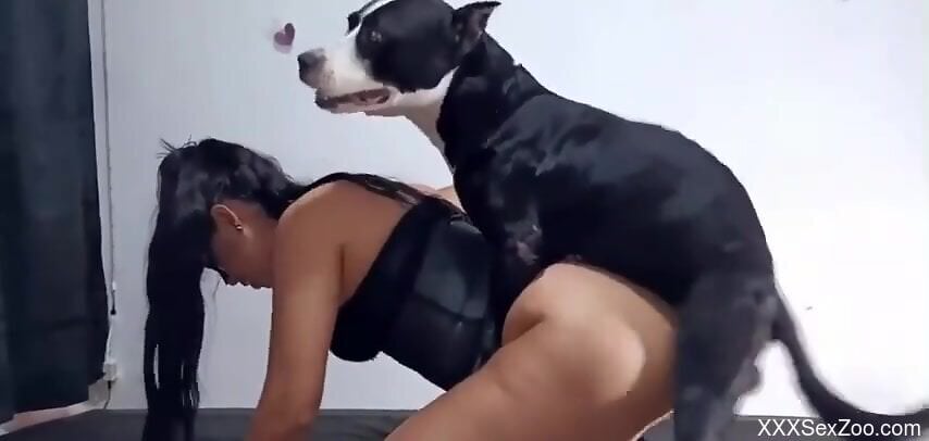 Big ass babe getting fucked by a black dog too