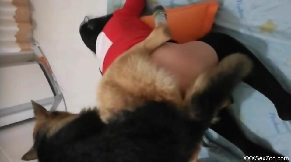 Curvy woman tries hairy dog dick down the ass in homemade XXX