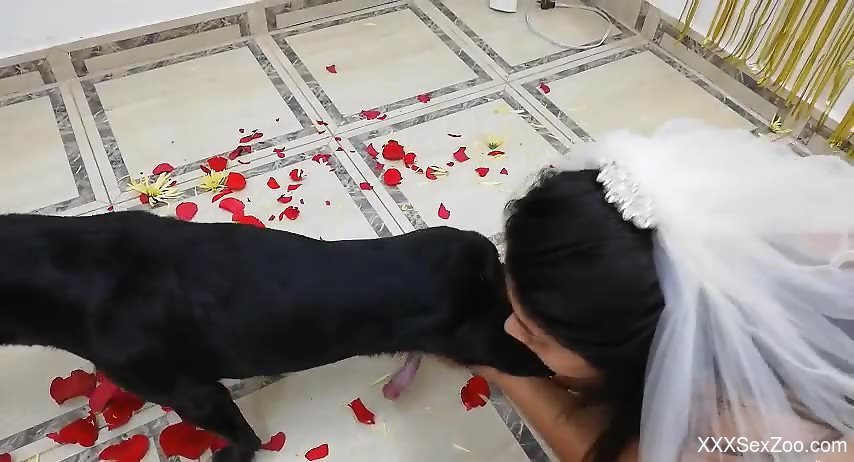 Big-breasted brunette is ready for this dog's cock