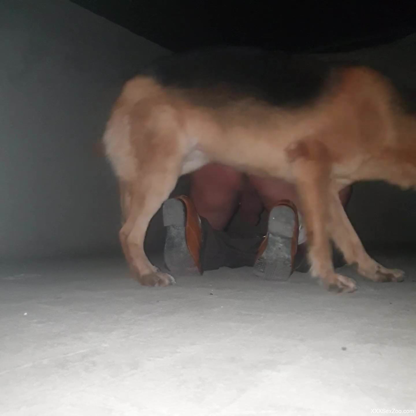 Big booty dude enjoying raw anal with his dog