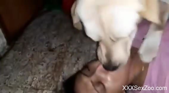 Amazing brunette having fun with a white doggo