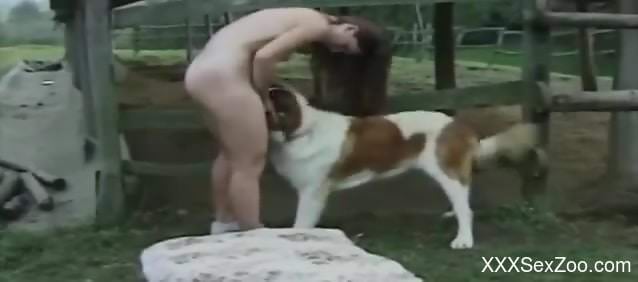 Horny brunette fucked on all fours like a cheap whore