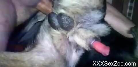 Dude is going to rip that asshole apart with his D