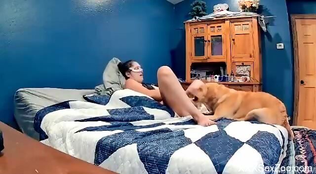 Sexy cam model filmed enjoying the dog in intimate kinks