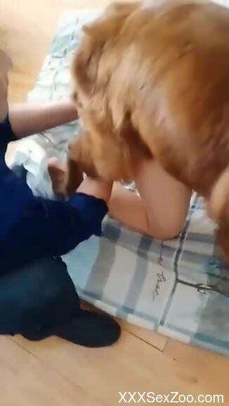 Woman and her furry dog share remarkable zoo porn play