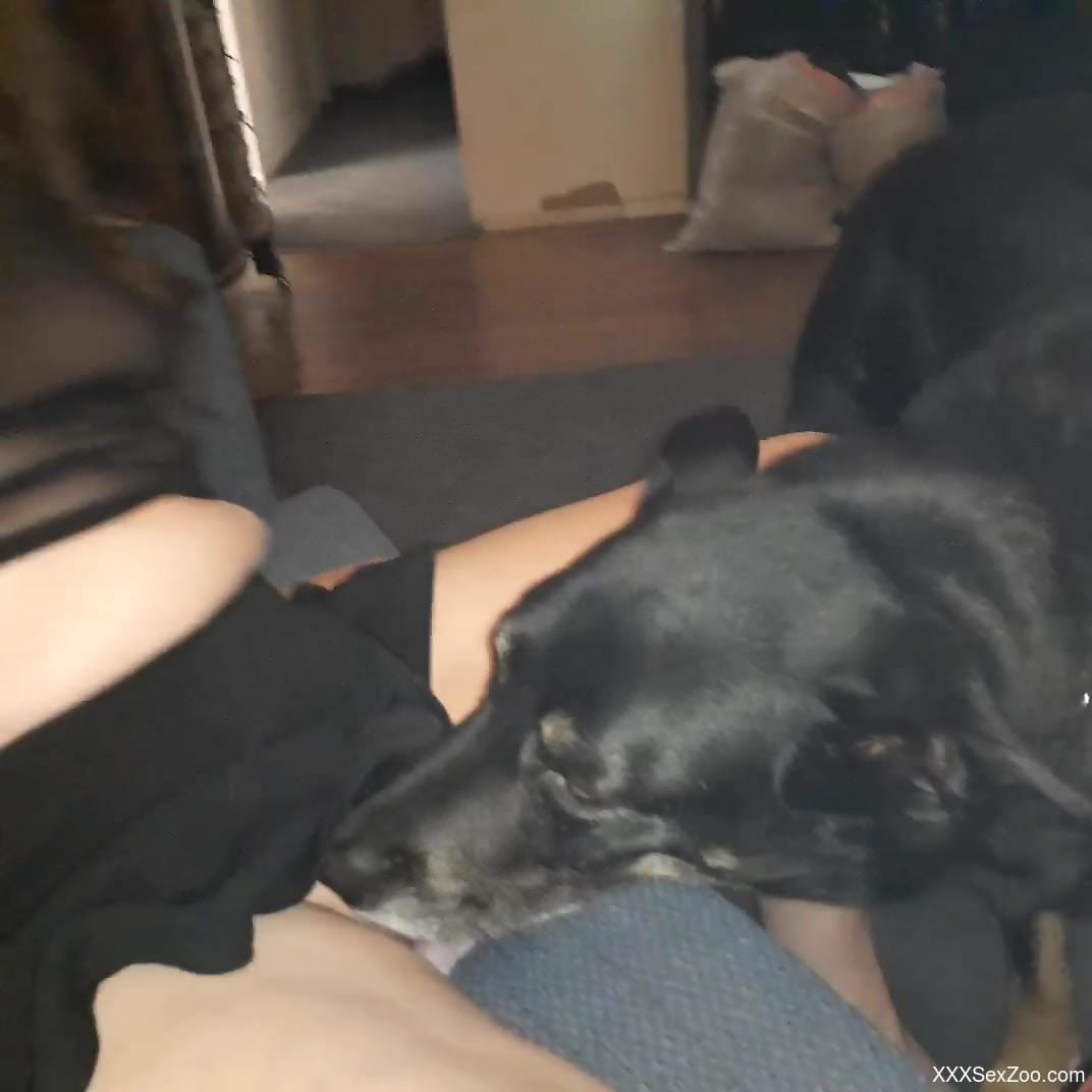 Hot animal tonguing an amateur's wet pussy in HD