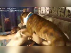 Glory Quest MAD-34: Animal Rape XXX