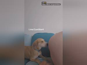 Dog Bangs Hardcore Babe