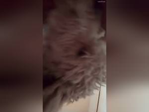 Bitch gets plowed by her dog