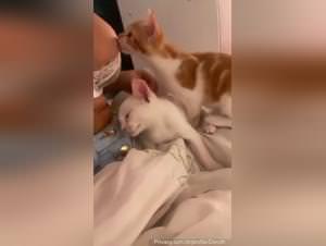 Brazilian slut riding her cat wild