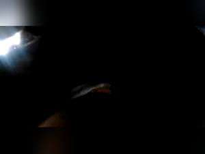 Mom Dog Sex - Incest Part 1