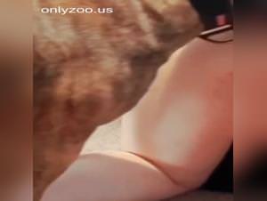 Dog fuckin hd: chunky slut solo action