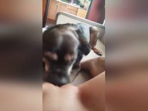 Girl Doggy Intense Licking