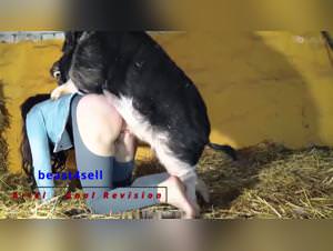 Milly's Anal Dog Fuck - Revision Trailer Pt.1