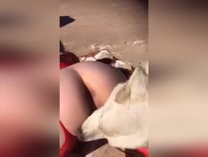 Dog licking pussy girl art zoo sexo pornografiXXX