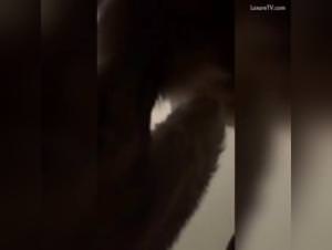 Amadora: Wild Dog Sex  Exploitation