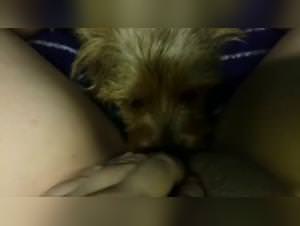 Teeny Pony Fucks Dog Part 5