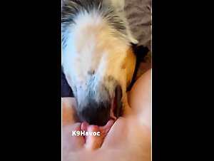 The Mexzoo tube: for lovers of fun animal sex