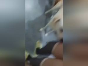 Wild dog sex : zofilia porn extreme