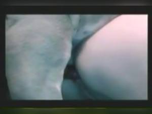 Amanda Caledonian Wild Dog Sex