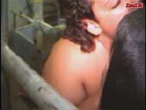 Cow Fucked Hardcore, She Loves Bull