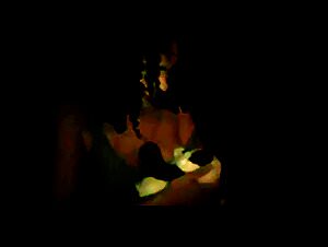 Sexo Zoofilia Extreme: A Woman Breastfeeds a Panda