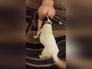 MyZooWife: Porno with Animals, Bestial Lust