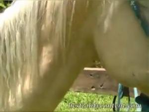 Teen 18 fucks horse, extreme zoophilia