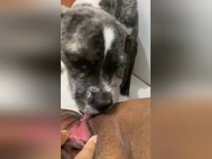 Forbidden love: girl and dog