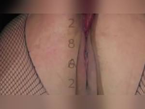 Girl Rides Beast, Extreme Dog Sex - Lurextv XXX