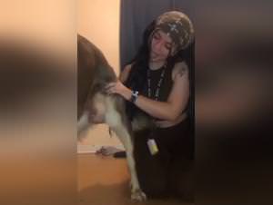 Wild dog bestiality porn