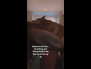 Female Bestiality: Passion for Animals in Action