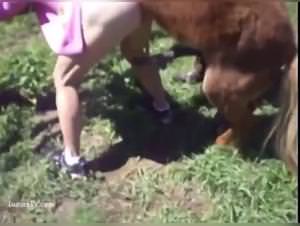 Woman ravaged by stallion, wild sex footage