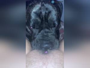 Dog Sex Girl - Extreme Videos