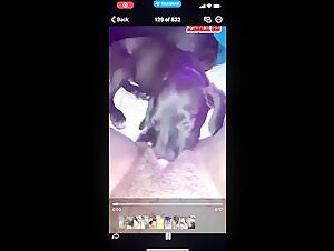 Dog and black woman in an intense bestiality session