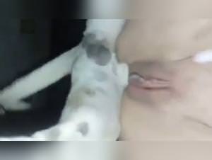 Sapna dog sex, hardcore bestiality videos