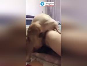 Chinese MILF Dog Fucked