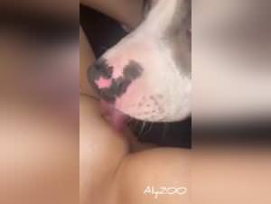 Wild dog sex & bestiality scenes