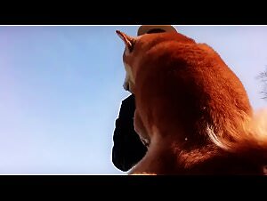 Bestiality tube zoofilia stories animal pornography laws gay beastiality