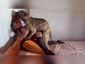 Zoofilia Exposed: Denise Frazier & Dog Sex XXX