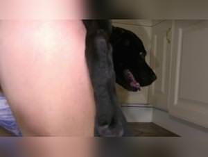 Dog Sex Extreme: Lise's Beastly Desires