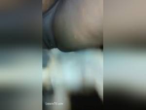 Black woman dog pleasure