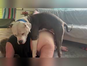 Chubby Granny Submits to Dog Mounting - Extreme XXX