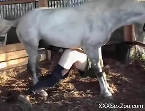 Pasty zoophile dude gets his asshole fucked by a stallion