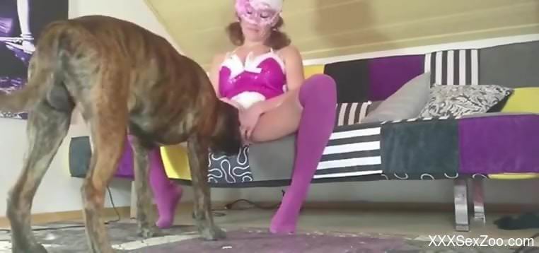 Christmas porn video with a leggy zoophile beauty