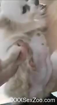 Hot closeup zoophilic movie with big balls and loud moans