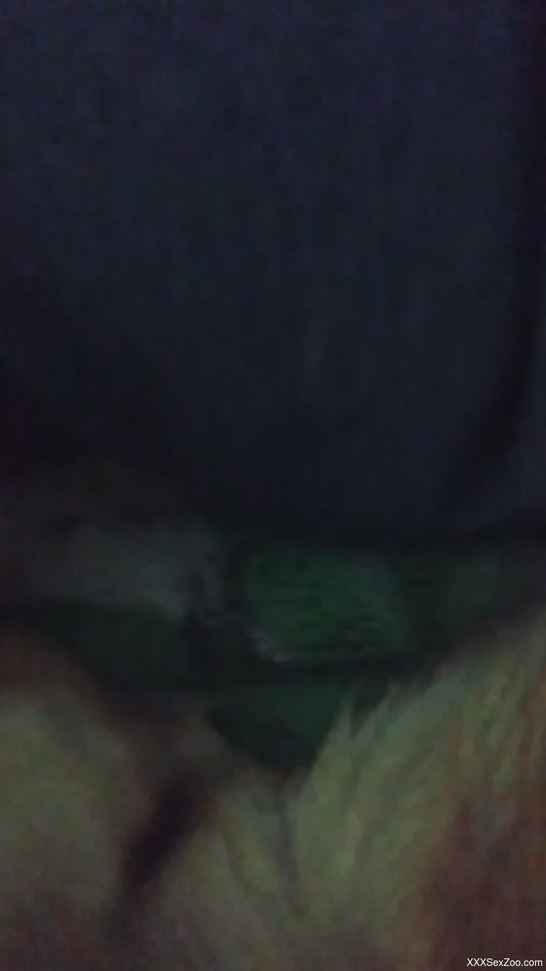 Dude jerking that dick in a nice POV porno movie