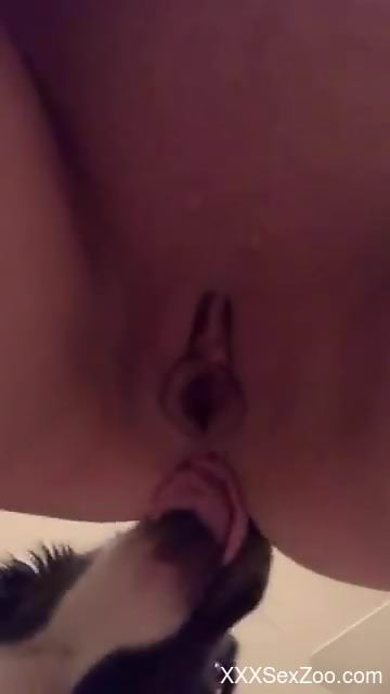 MILF endures real dog cock into her shaved pussy and ass